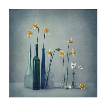 Dimitar Lazarov 'Daffodils In Jars' Canvas Art,24x24